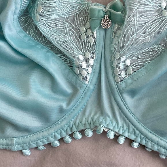 Bra - Picture 2 of 5